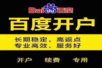 经典案例：SEM代运营服务公司的成功之路